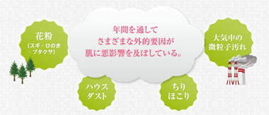 dプログラム